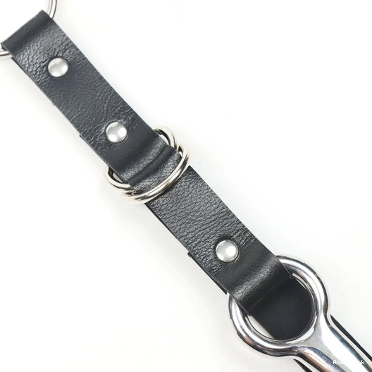 Collar with Anal EverydayUse 5853 Hook Leash and Kinky 0803